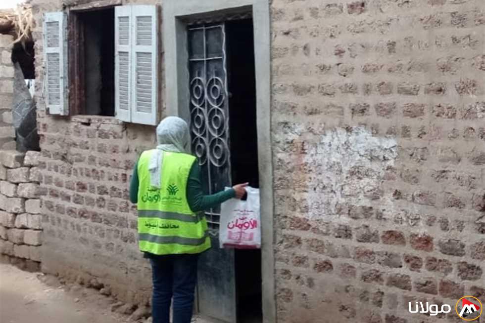 توزيع 14 طن من اللحوم على 7 آلاف عائلة في قرى ونجوع أسيوط (تقرير)