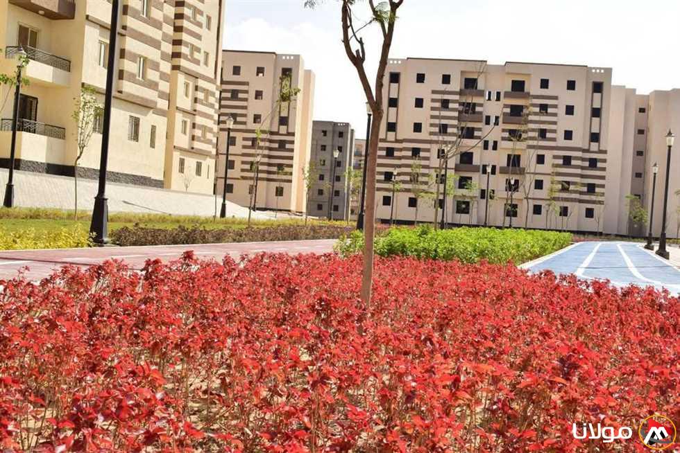 إقبال واسع من سكان مدينة أكتوبر الجديدة على الحدائق والمنتزهات للاحتفال بأعياد الربيع