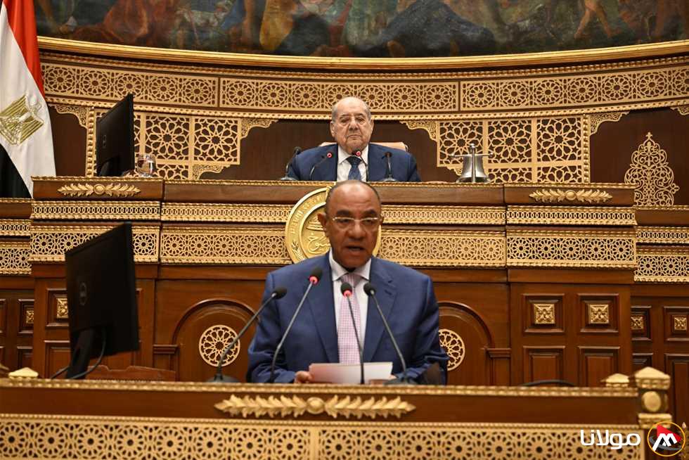 «المجلس الأعلى» يستعرض خطة الحكومة لإدارة أصول شركات قطاع الأعمال