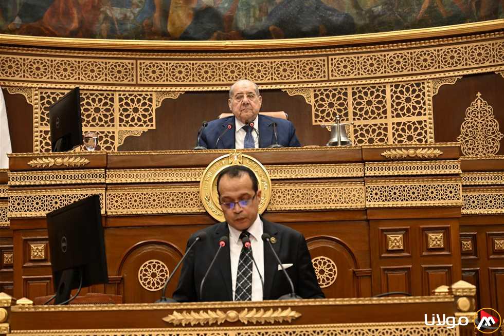 مجلس الشيوخ يستعرض تطبيق التحول الصناعي الأخضر في شركات القطاع العام