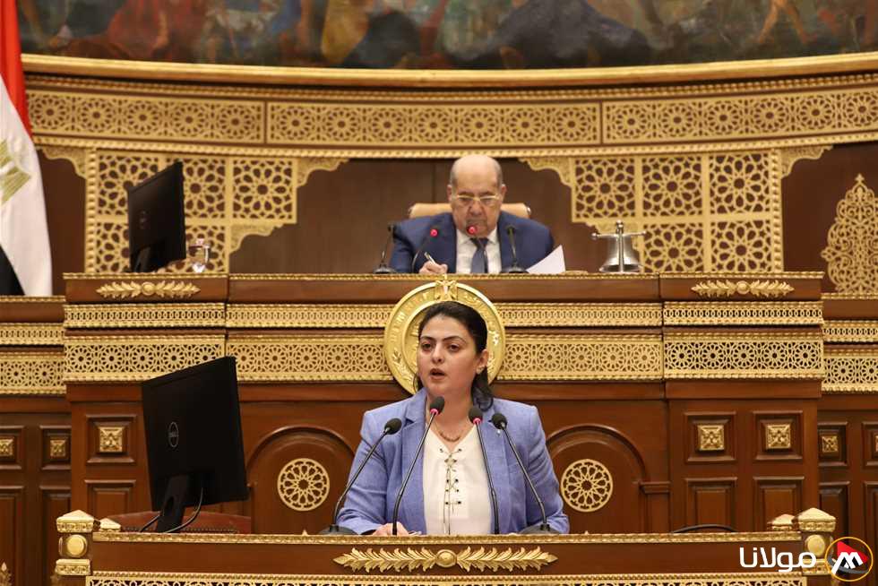«مجلس الشيوخ» يبدأ بحث إعادة تنظيم شركات القطاع العام