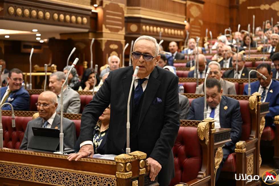 نائب «الشيوخ» يطالب بوضع قوانين جديدة لتنظيم الشركات واستغلال الأصول العقارية