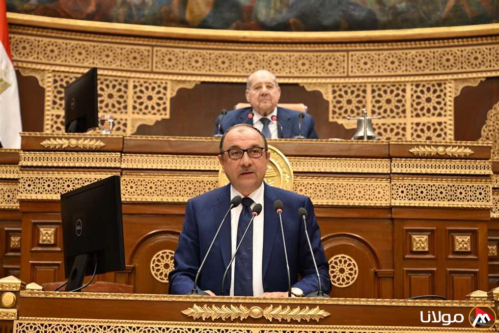وزير قطاع الأعمال: شراكتنا قديمة جداً والعمال تتراوح أعمارهم بين 40 و60 عاماً