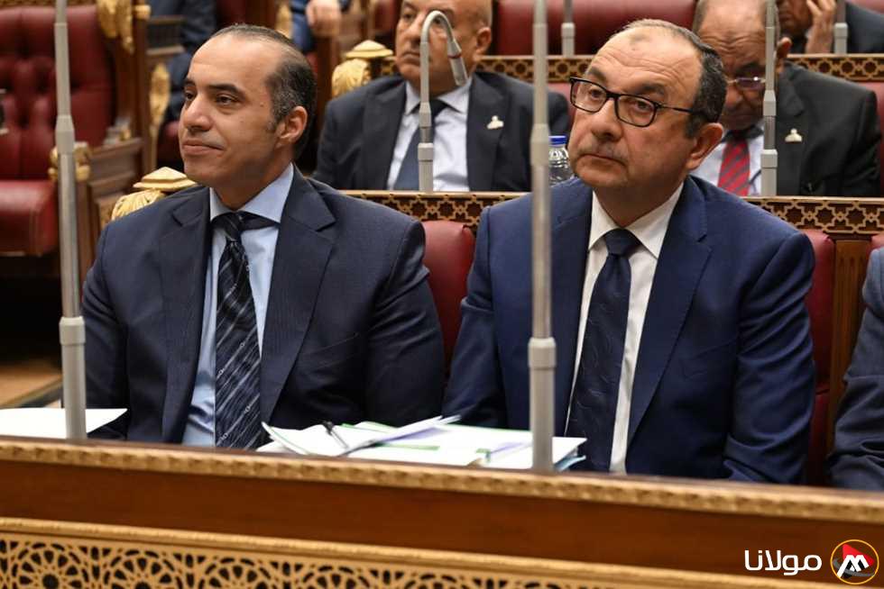 رئيس “لجنة الوفد البرلمانية” يطلب من وزير قطاع الأعمال تقديم إجابات صادقة توضح حالة الشركات.