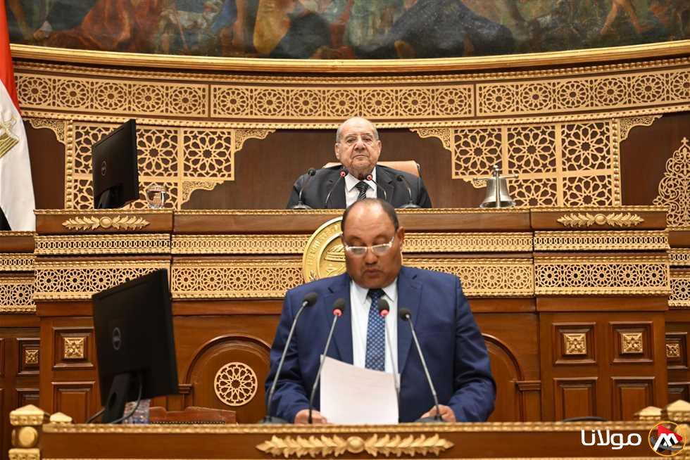 بفضل عمليات التصنيع.. نائب وزير الزراعة: مصر تحقق مراتب متقدمة في تصدير الفراولة المجمدة