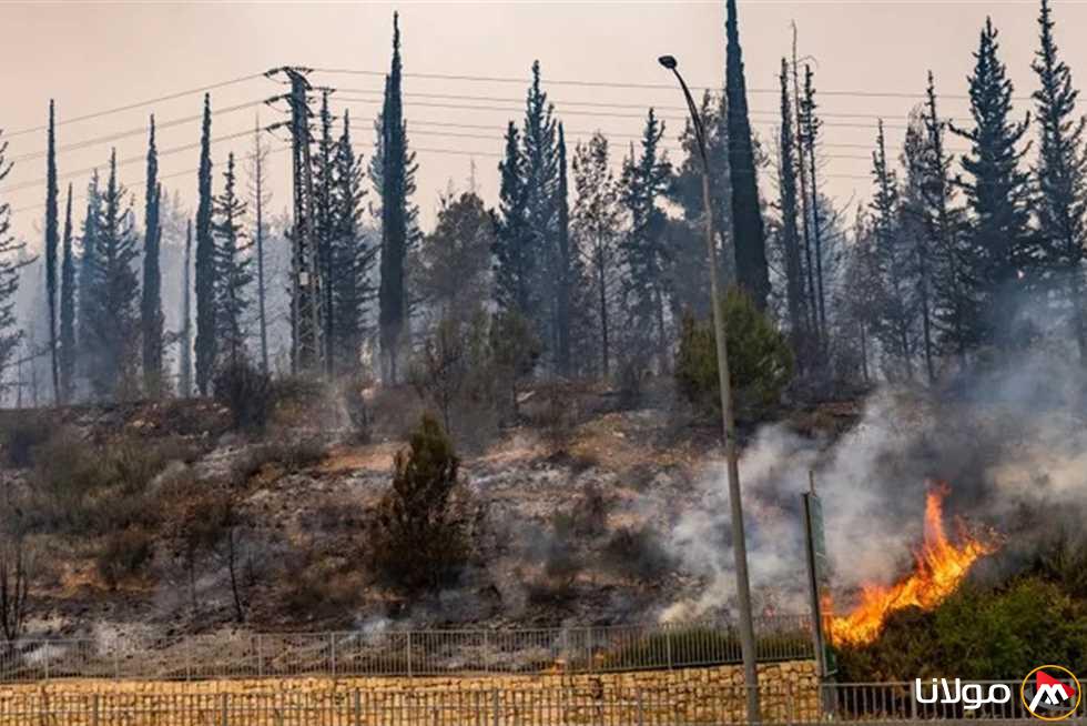 20 ساعة من النيران.. أحدث المستجدات حول حرائق الغابات في إسرائيل