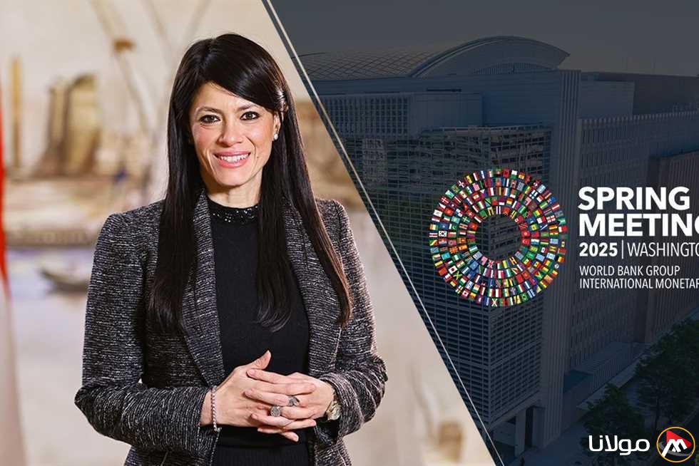 “المشاط”: التوقعات المتفائلة للنمو تظهر نجاح سياسات الإصلاح الشامل في مصر