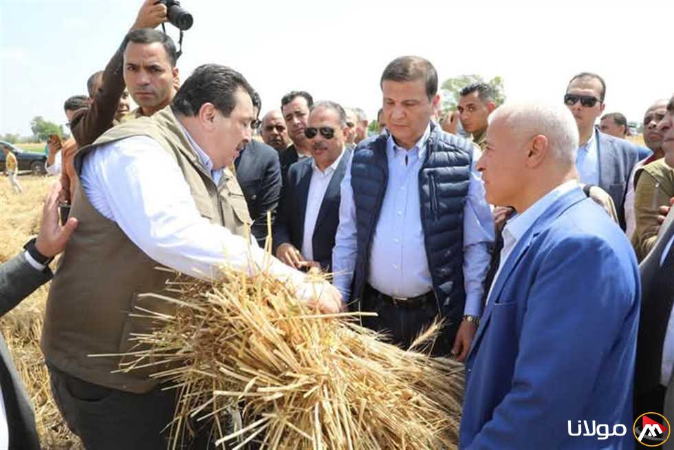 خلال بدء موسم الحصاد في الشرقية.. وزير الزراعة: الإنتاج المتوقع من القمح هذا العام يقترب من 10 ملايين طن
