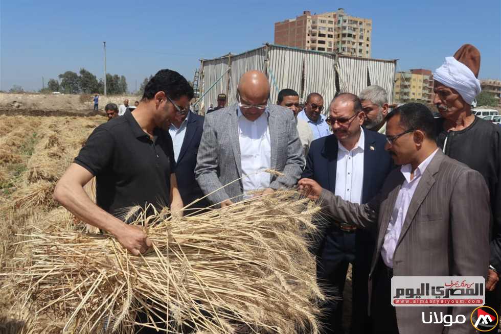 أخبار القليوبية: انهيار سقف مصنع جديد، كيفية الالتحاق بمدرسة الذهب، أسعار الدجاج وتوقعات الطقس اليوم