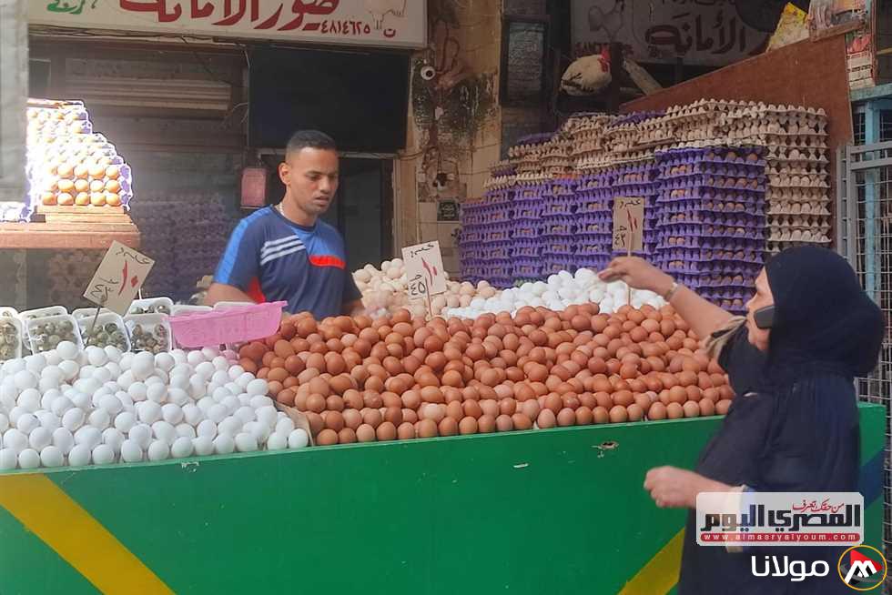 أسعار البيض في انخفاض مستمر.. إليك إجابة رئيس شعبة الدواجن حول ذلك!