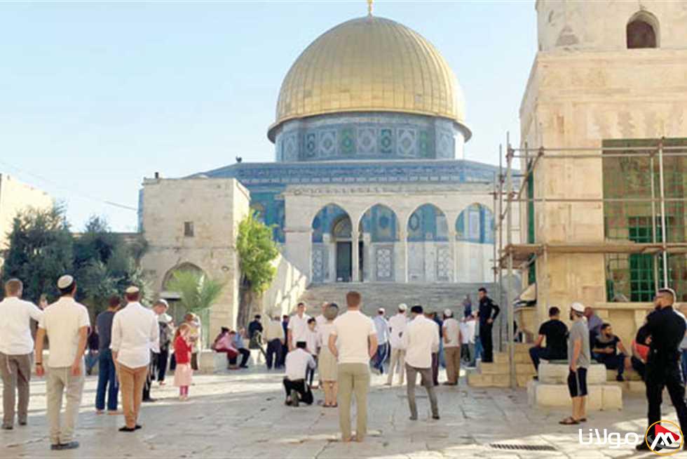 مستوطنون يقتحمون الأقصى والاحتلال يعتقل سبعة فلسطينيين من الخليل