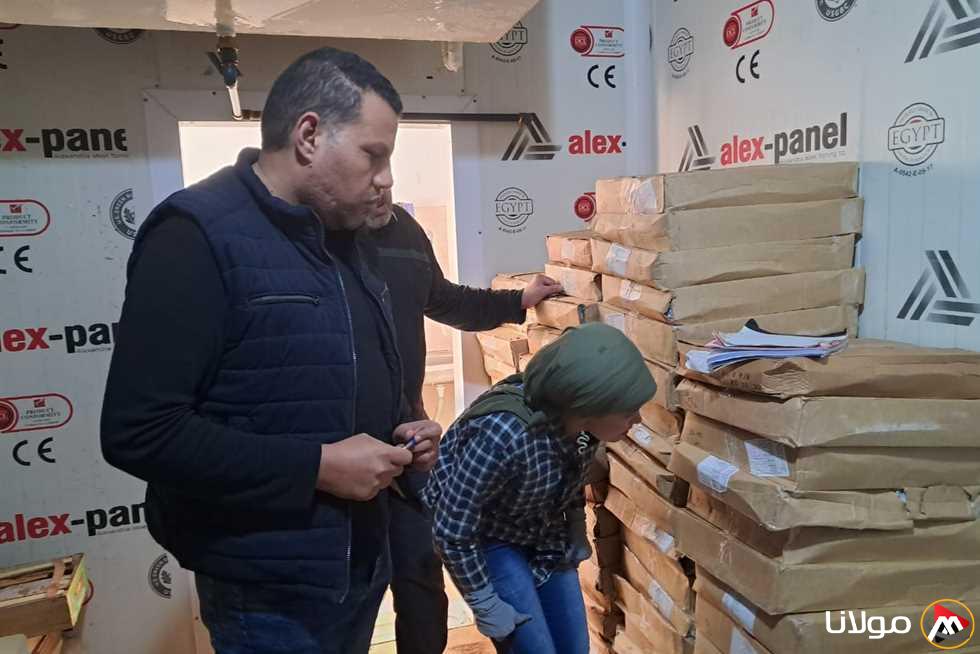 ضبط 990 كيلو من اللحوم المفرومة والأسماك غير المصرح بها في حملة أمنية بكفر الشيخ