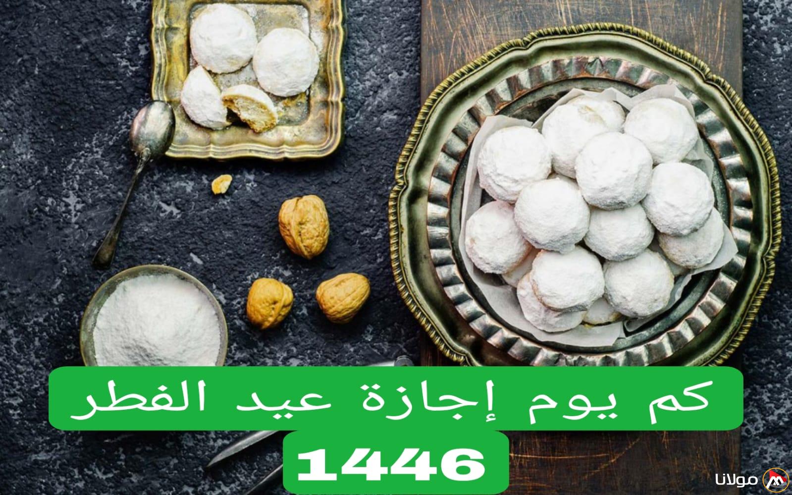 إعلان تمديد إجازة عيد الفطر في السعودية 2025 لبعض الفئات لتمتد فترة العطلة.. كم عدد أيام إجازة العيد؟