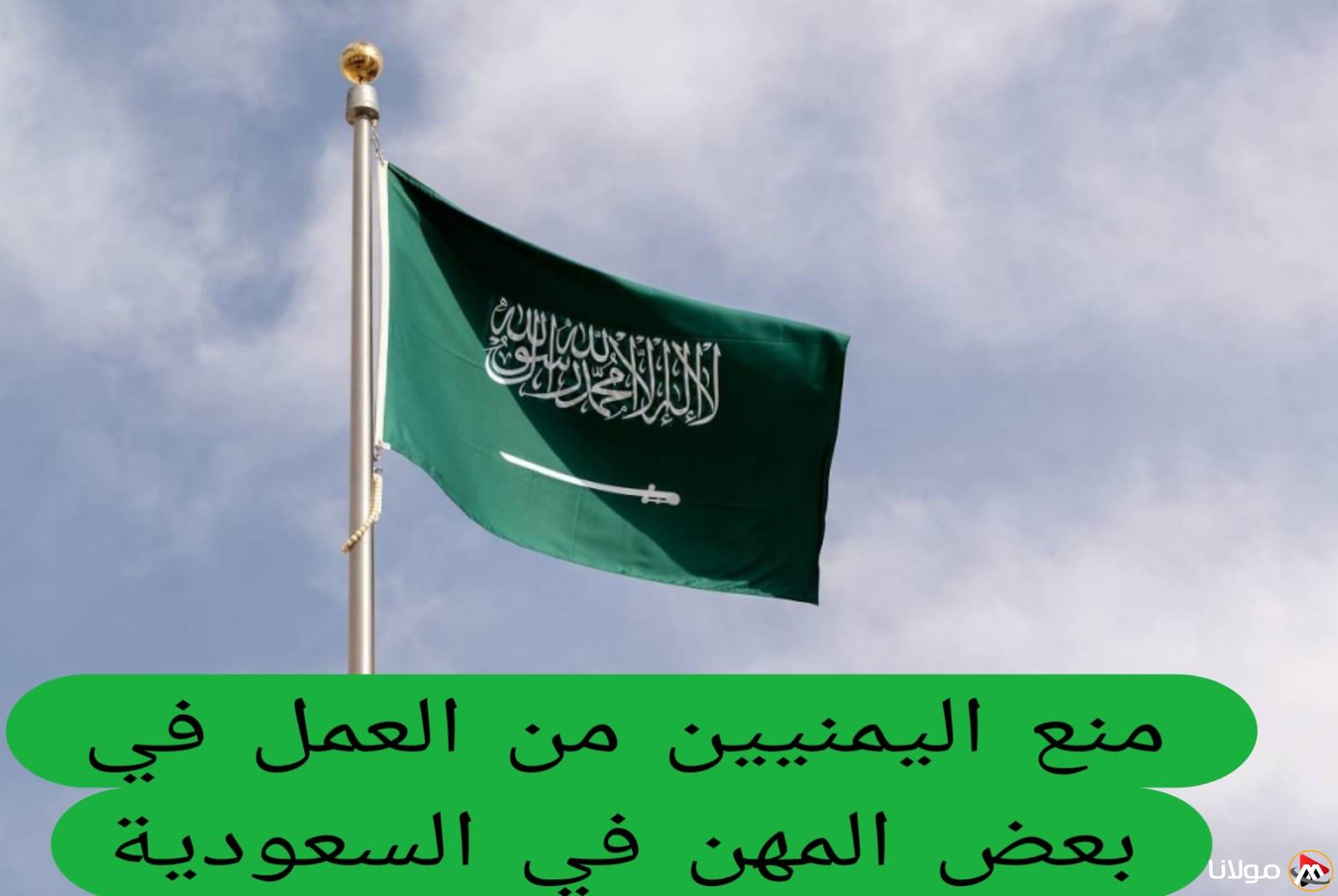رسميًا: السعودية تتخذ قرارًا بحظر دخول اليمنيين إلى وظائف جديدة اعتبارًا من عام 1446