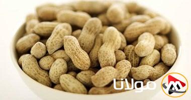 تصدير 45,000 طن من الفول السوداني بقيمة 70 مليون دولار