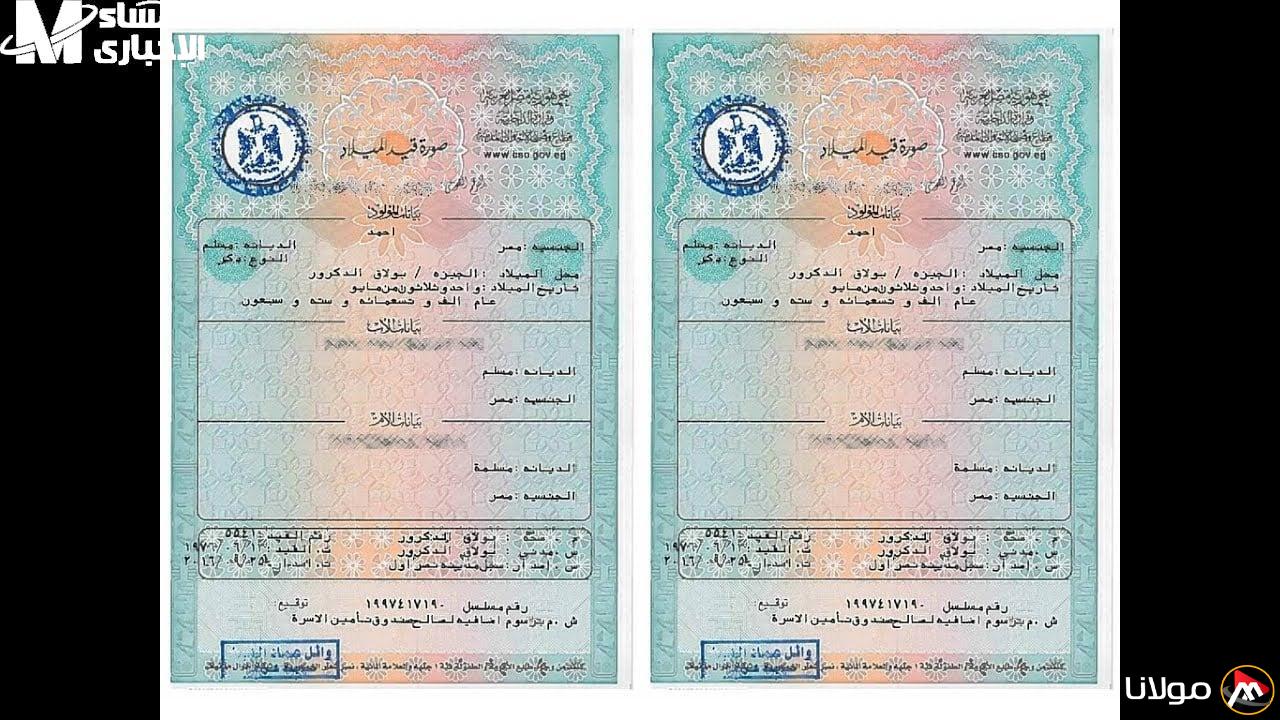 شهادة الميلاد الرقمية للأسر الحاضنة: كيف تسهم في تحسين خدمات الحكومة عبر بوابة مصر الرقمية