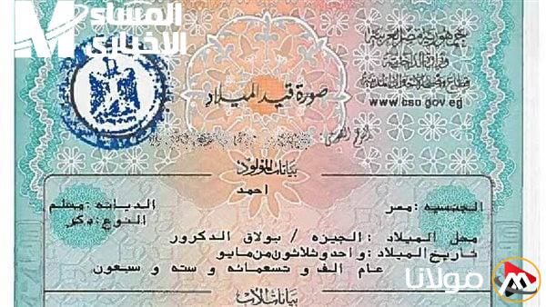 احصل على شهادة الميلاد أونلاين بسهولة في 2025 – مستنداتك من دون تعب، من منزلك!
