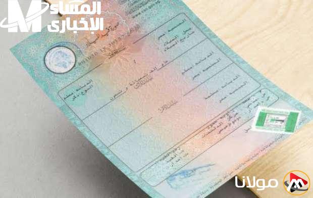 بضغطة زر.. الحصول على شهادة الميلاد الرقمية للأسر الحاضنة بدون الحاجة للذهاب إلى المكاتب أو الانتظار في الصفوف