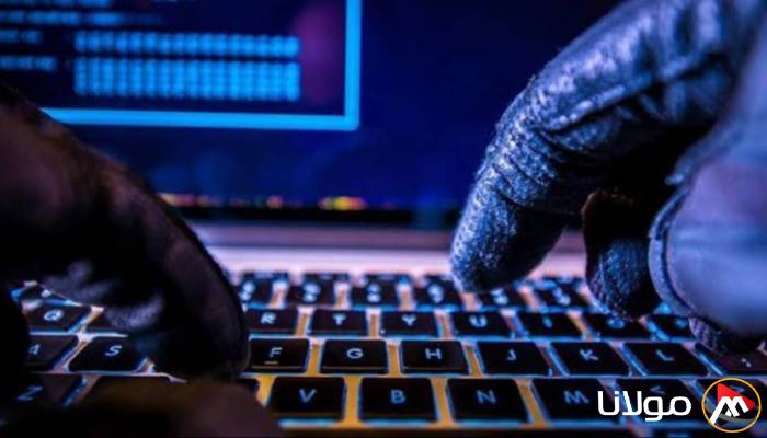 الأمم المتحدة: انتشار جرائم الاحتيال الإلكتروني العالمية بقيمة مليارات الدولارات
