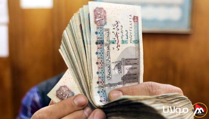 حسابات التوفير في البنوك المصرية: دليل لتحقيق أعلى الع_returns بعد تقليص سعر الفائدة