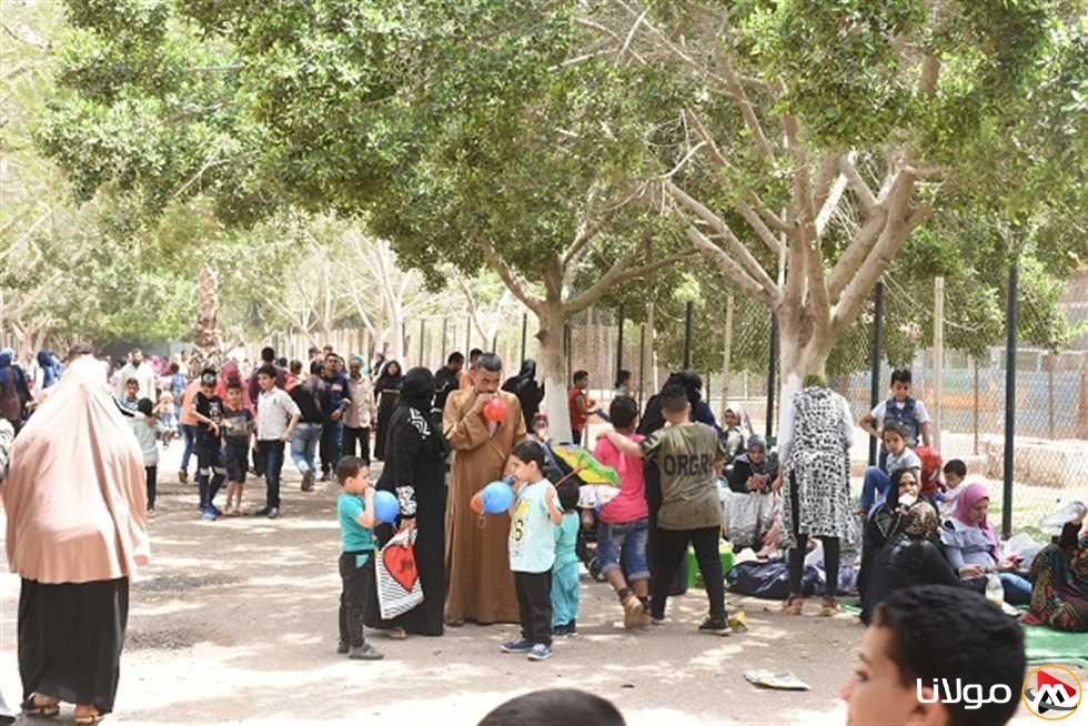 محافظة الشرقية تعزز جاهزيتها للاحتفال بعيد القيامة وشم النسيم