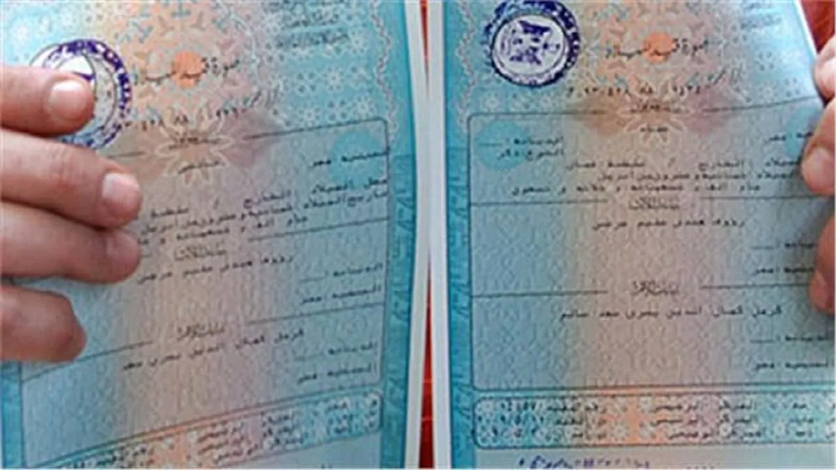سجل مولودك بسهولة من المنزل: كيفية استخراج شهادة ميلاد 2025 عبر بوابة مصر الرقمية