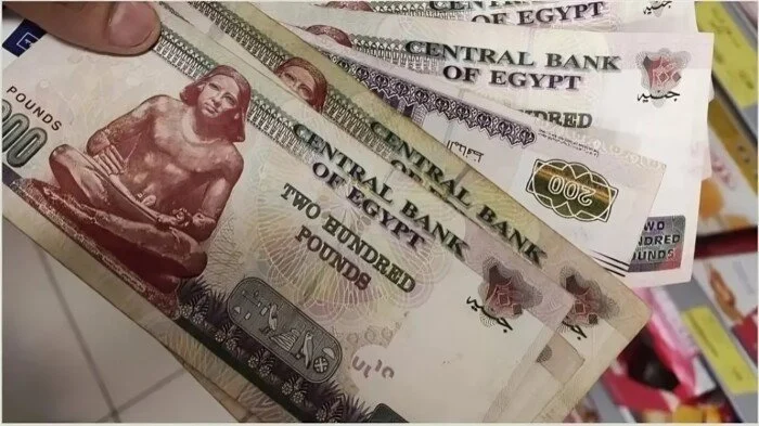 الحكومة تكشف عن جدول المعاشات الجديد لعام 2025 وتحقيق راحة مستحقة للمستفيدين