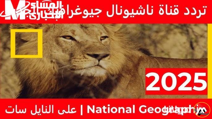 استكشف الحياة البرية من منزلك: تردد قناة ناشيونال جيوغرافيك الجديد