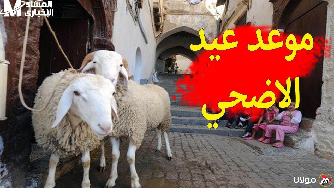 العيد يقترب.. تاريخ عيد الأضحى 2025 – 1446 في مصر والدول العربية وفقًا للحسابات الفلكية، احجز عطلتك الآن!