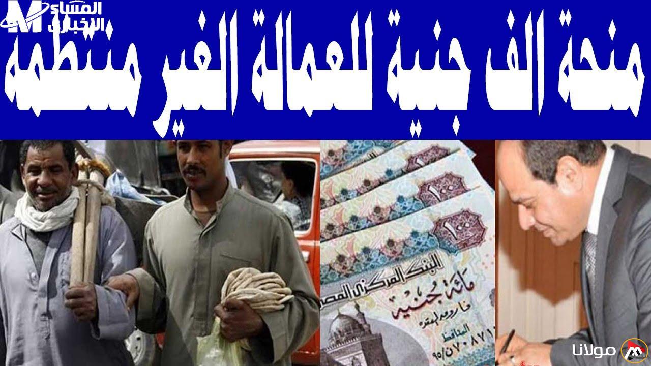اكتشف كل ما تحتاجه حول منحة العمالة غير المنتظمة 2025 من وزارة القوى العاملة باستخدام رقمك الآن!