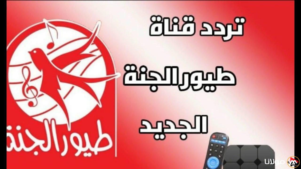 تحديث تردد قناة طيور الجنة 2025 على نايل سات وعرب سات.. محتوى متميز للأطفال والبالغين