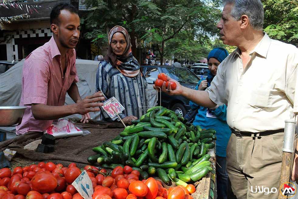 بعد زيادة أسعار السولار.. رئيس جمعية الشحن يكشف عن نسبة الارتفاع في أجور النقل