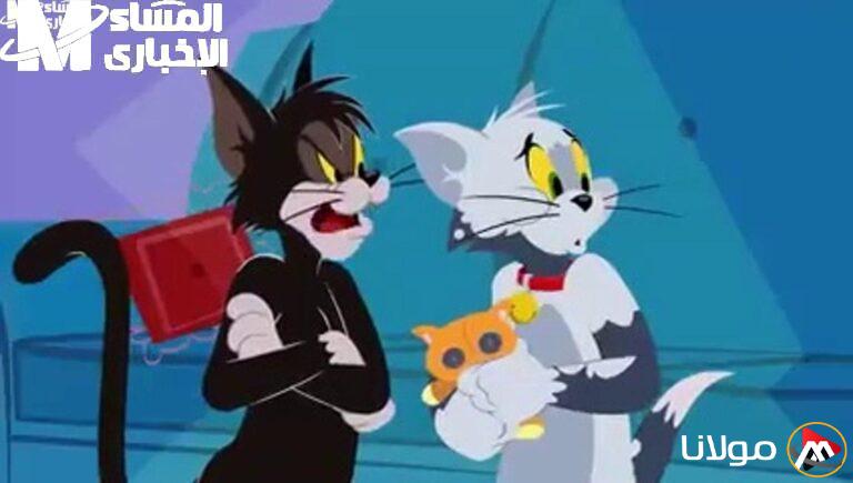 توم وجيري يعودان مجددًا على CN بالعربية: comedies يومية تضمن لك الضحك!