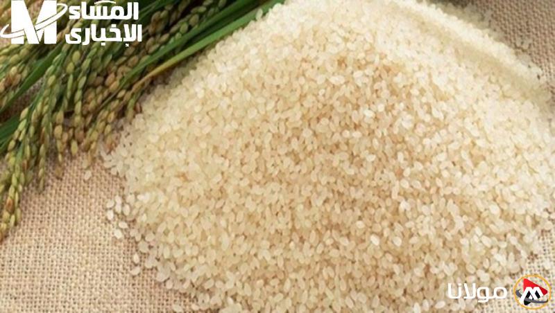 الشعير متوفر.. أسعار أرز الشعير في السوق المحلية اليوم الأحد 13 أبريل 2025