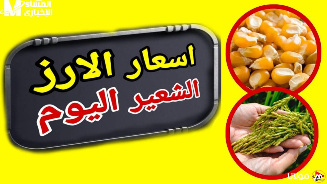 أسعار الشعير اليوم السبت 26/4/2025: أبرز العوامل وتأثيرها على السوق!