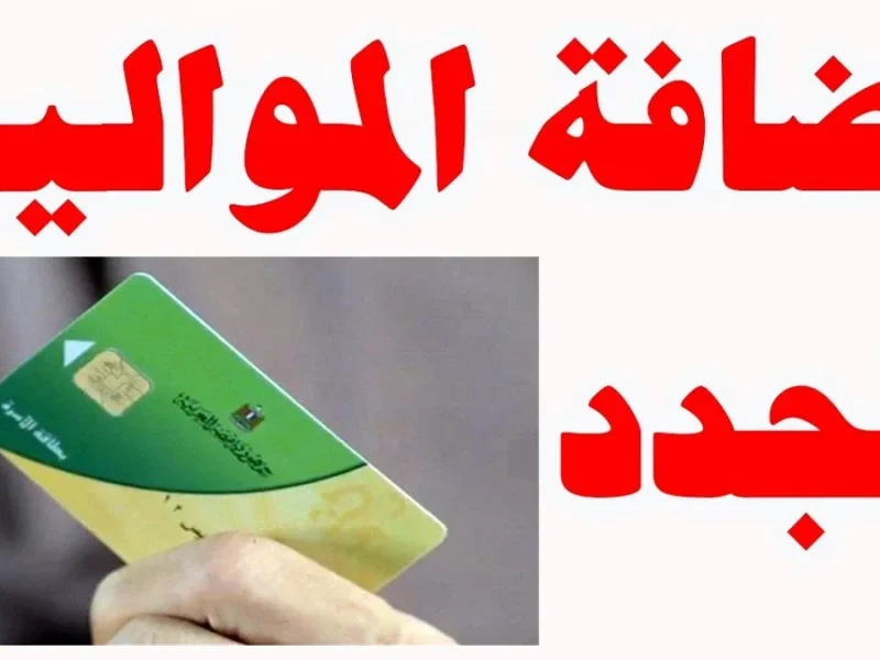 إضافة المواليد الجدد على بطاقة التموين 2025 بسهولة عبر بوابة مصر الرقمية خطوة بخطوة
