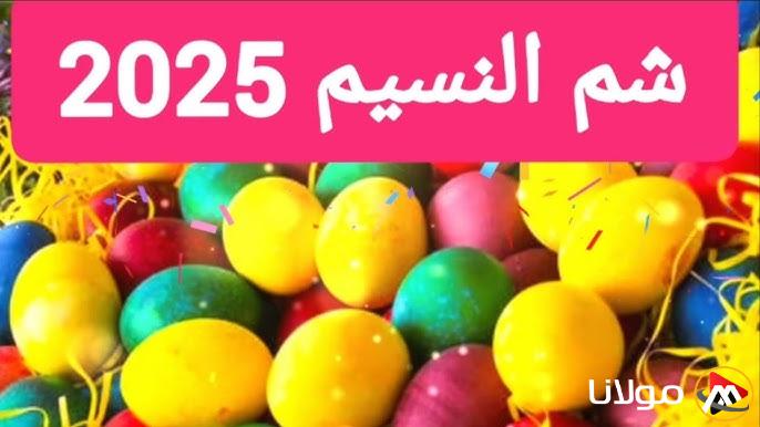 الحكومة تتوصل إلى قرار نهائي وتنهى النقاش!