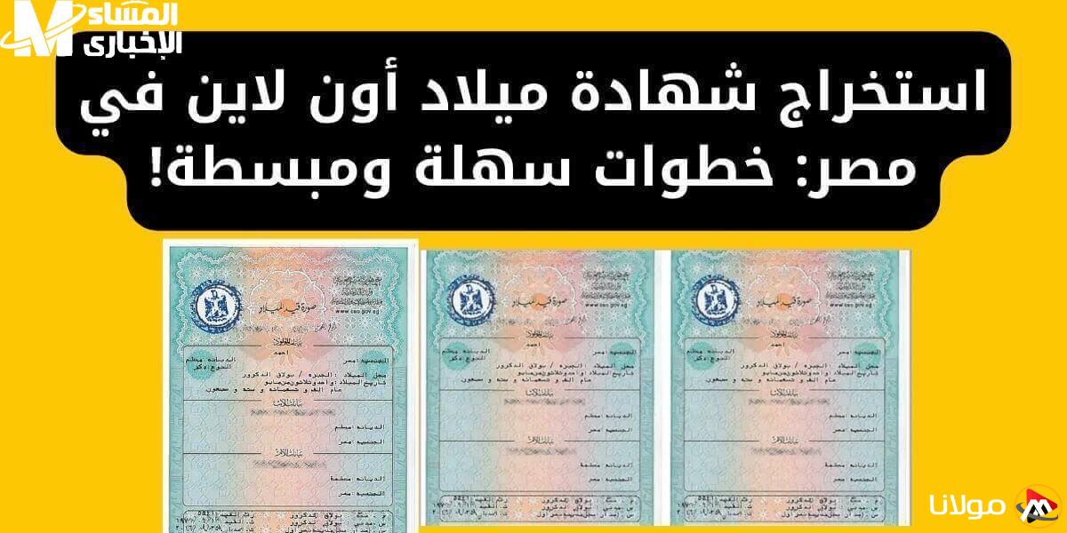 تصريح فوري.. كيفية الحصول على شهادة ميلاد 2025 من خلال البوابة الرقمية المصرية