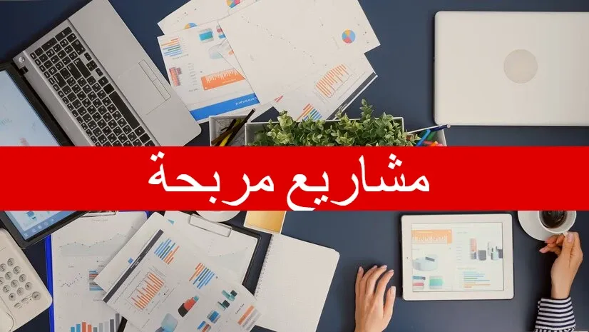 بدون استثمار كبير.. كيف تبدأ مشروعًا يحقق ربح شهري؟