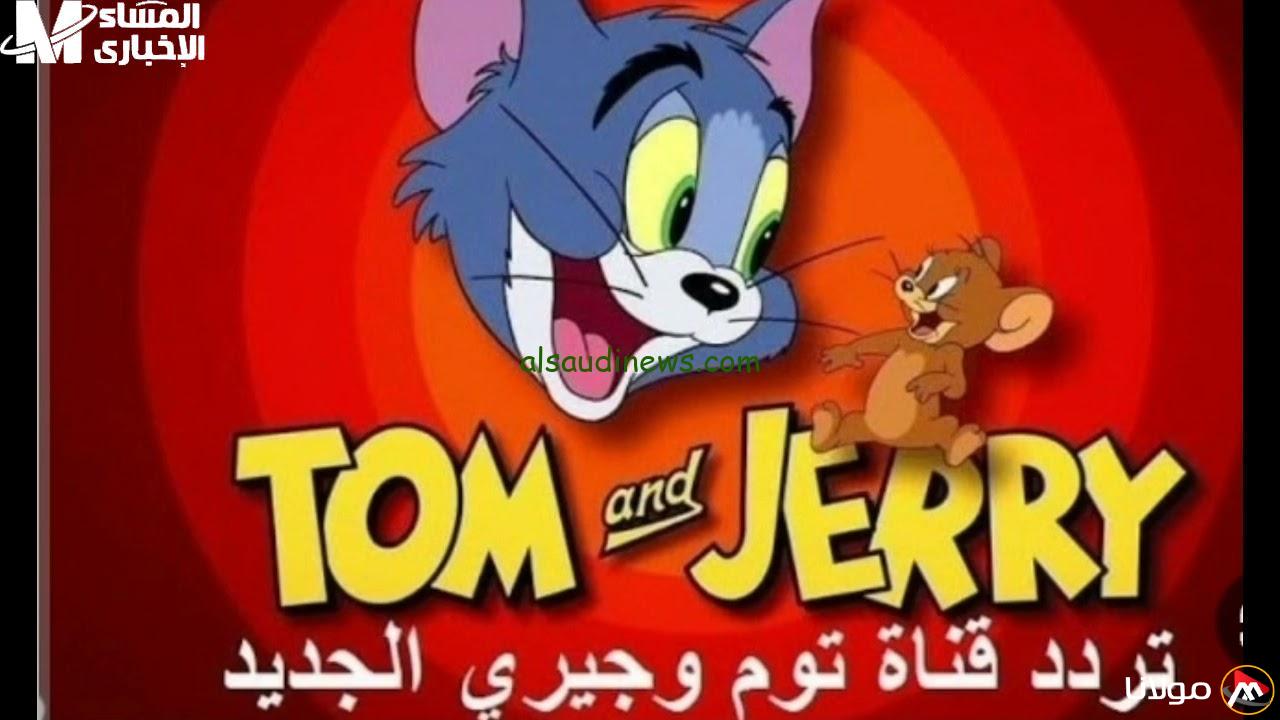 انطلق في مغامرة جديدة! تعرف على تردد قناة توم آند جيري على CN ARABIC لجعل أوقات الصغار مليئة بالمتعة