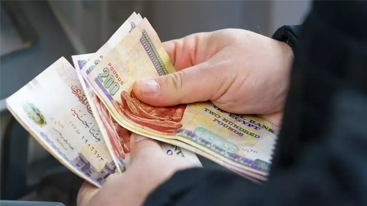قرار مثير: معاشات 2025 تبدأ بداية جديدة تشعل حماسة الناس!