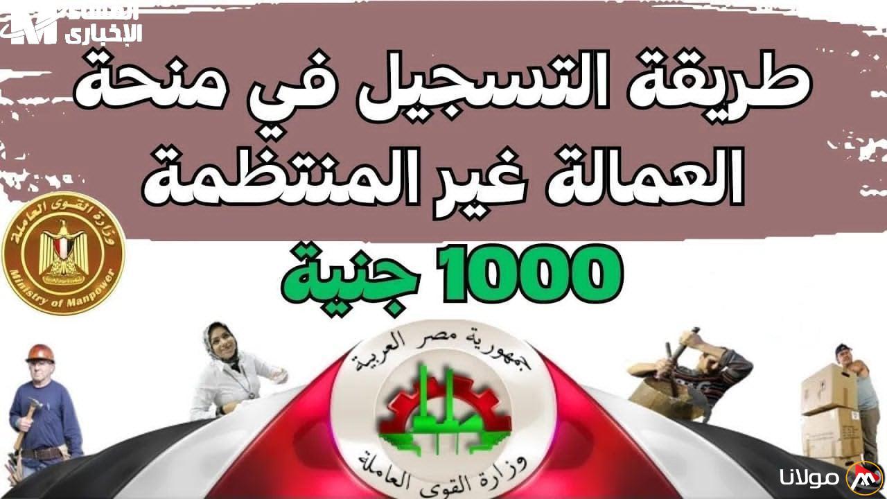 اكتشف اسمك .. رابط التحقق من منحة العمالة غير المنتظمة 2025 باستخدام الرقم القومي www.manpower.gov.eg