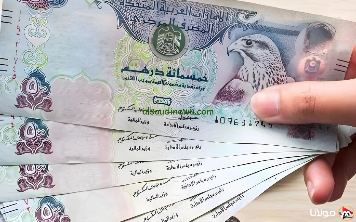 سعر الدرهم الإماراتي مقابل الجنيه المصري ليوم الأحد، 13 أبريل 2025
