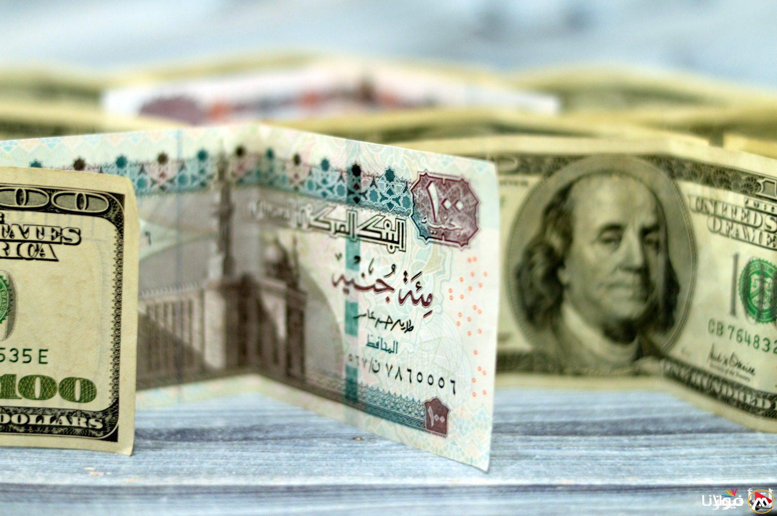 تحديث مستمر لأسعار الدولار مقابل الجنيه المصري في البنوك اليوم