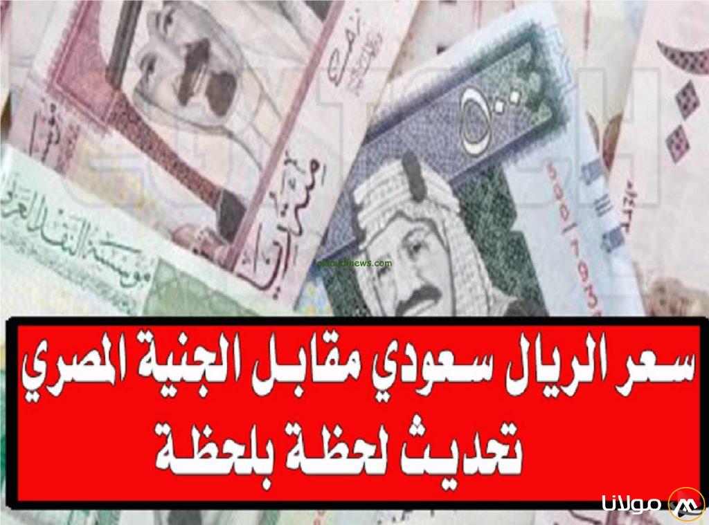 استقرار وتحليل متكامل لأداء السوق