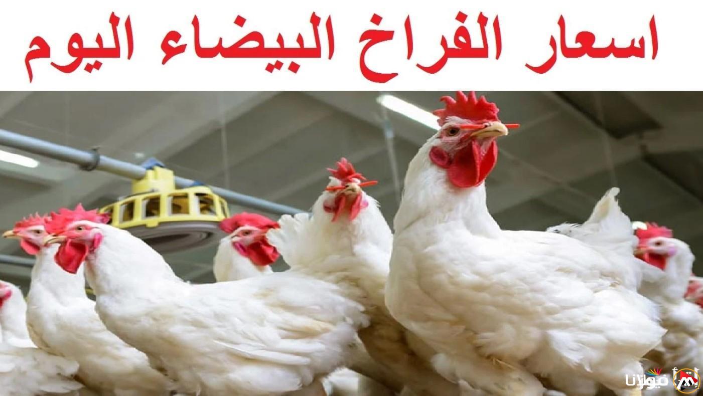 تحديث كامل لأحدث أسعار السوق