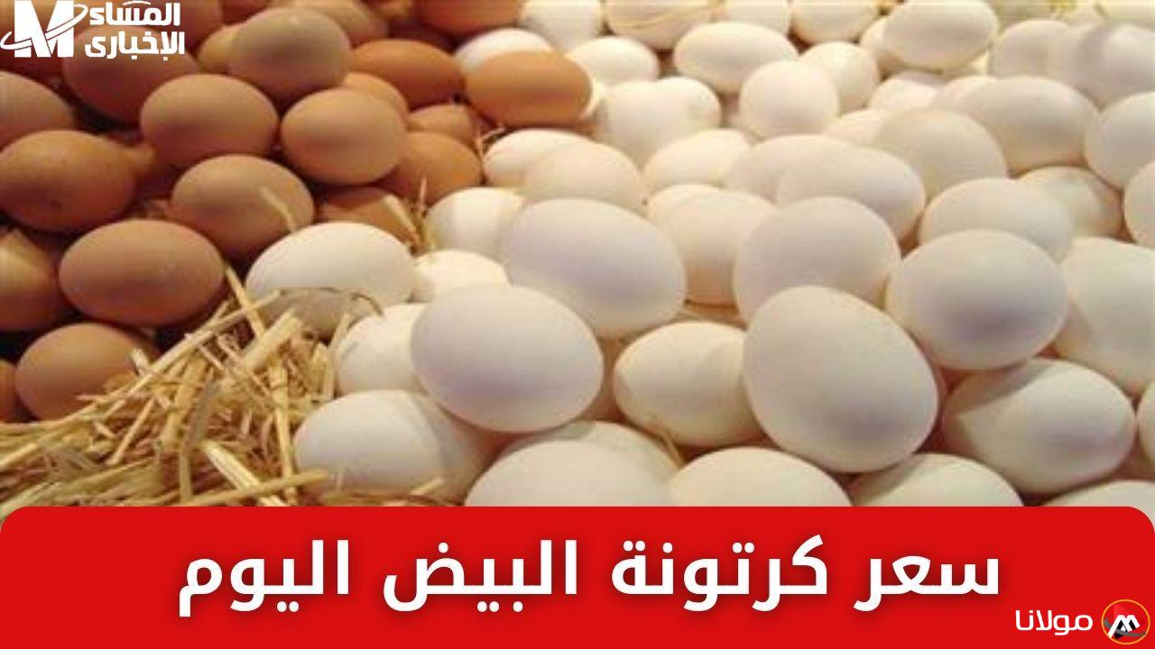 أسعار كرتونة البيض اليوم السبت 26/4/2025: مفاجآت في الأسعار والمطبخ سعيد!