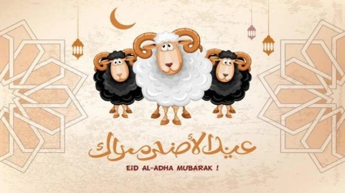 أجواء العيد تملأ الأفق: كم يتبقى لنا من الأيام حتى عيد الأضحى في مصر؟