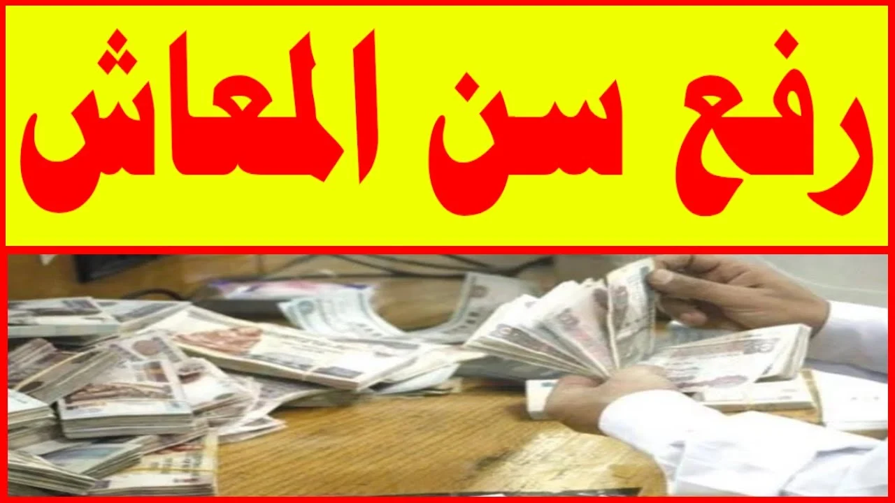 قرار حكومي جديد للفئات فوق الأربعين يثير اهتمام الجميع حول تفاصيل سن المعاش وأثره على حياتهم اليومية