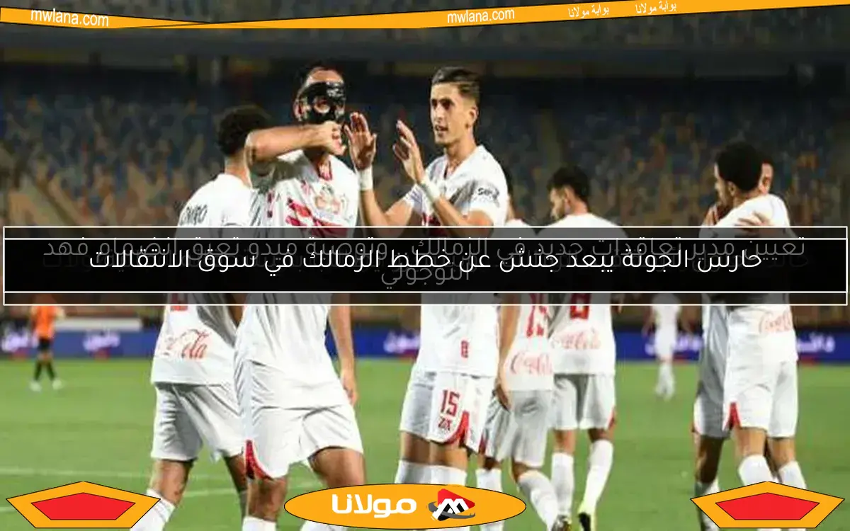 حارس الجونة يبعد جنش عن خطط الزمالك في سوق الانتقالات